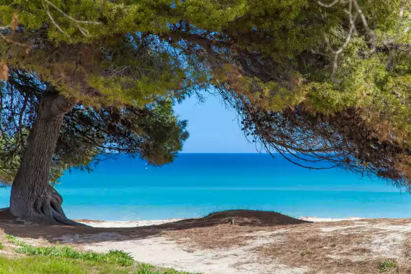 Ferienunterkünfte in Rodriguez de la fuente 19 (sin nombre), Platja de Muro