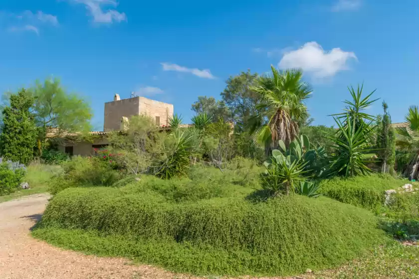 Alquiler vacacional en Villa es molí des trenc, Campos