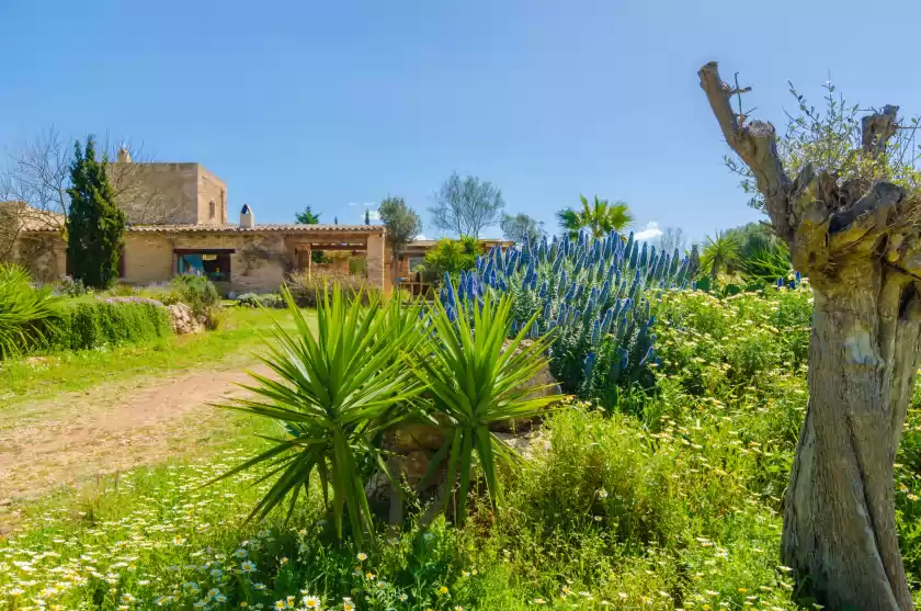 Alquiler vacacional en Villa es molí des trenc, Campos