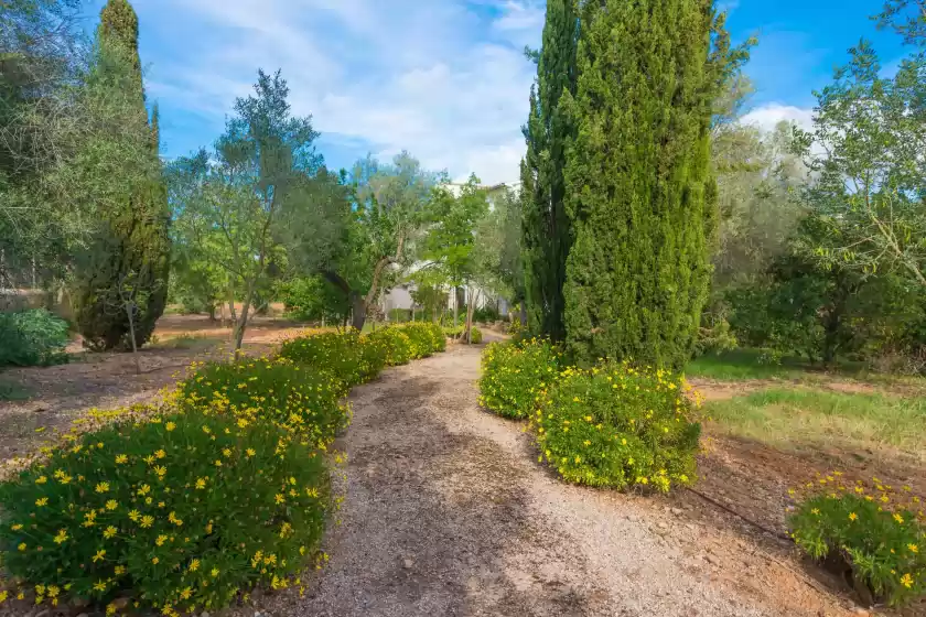 Holiday rentals in Cas pilot, Santa María del Camí