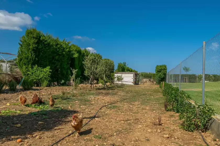 Alquiler vacacional en Son ferragut can corme, Sa Pobla