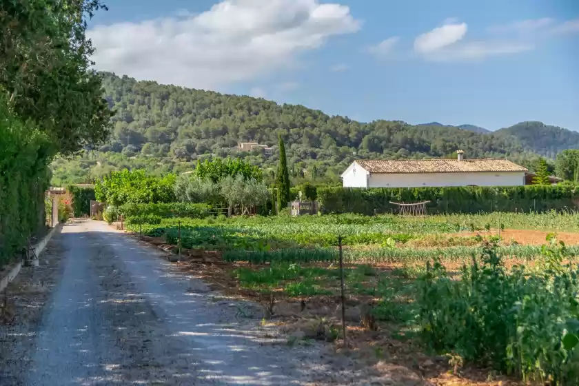 Alquiler vacacional en Son ferragut can corme, Sa Pobla