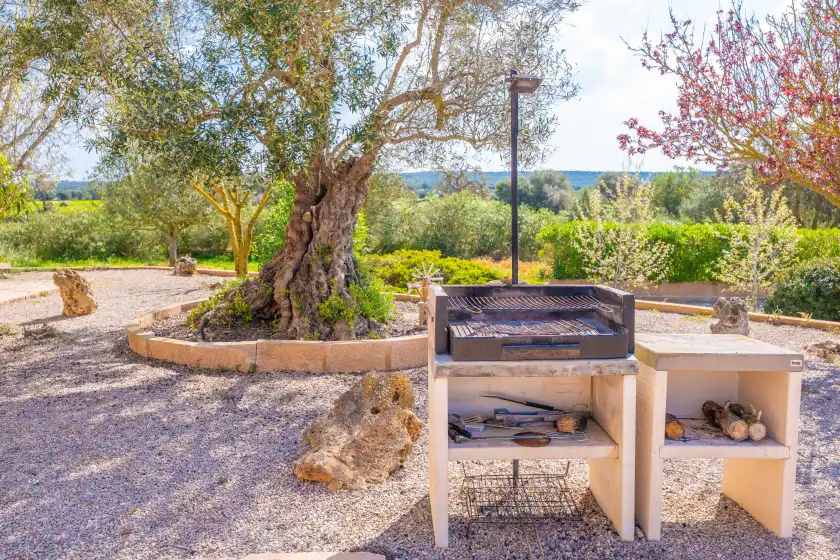 Alquiler vacacional en Son vigili, Campos