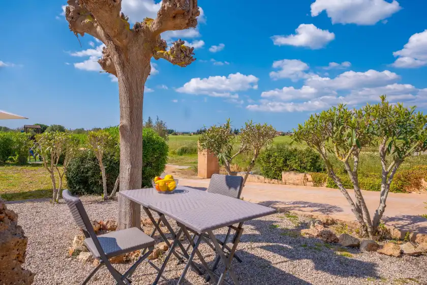 Alquiler vacacional en Son vigili, Campos