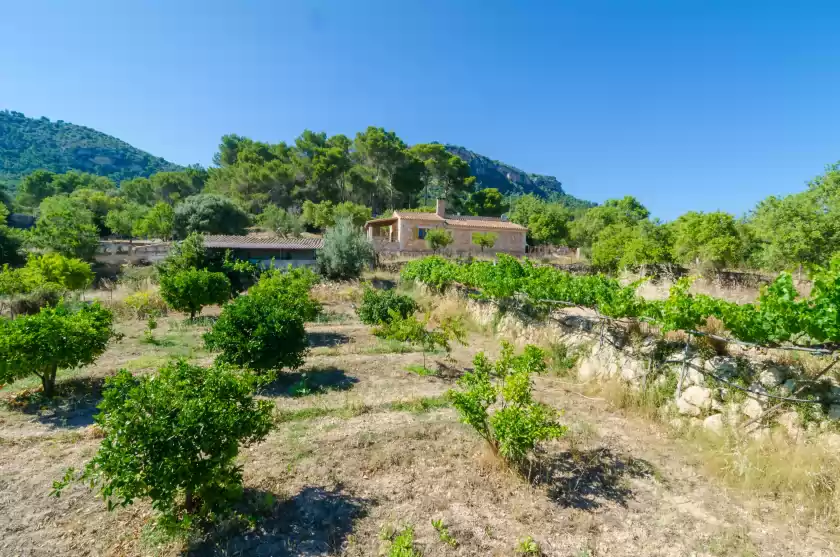 Alquiler vacacional en S'aresta den rumbet, Llucmajor