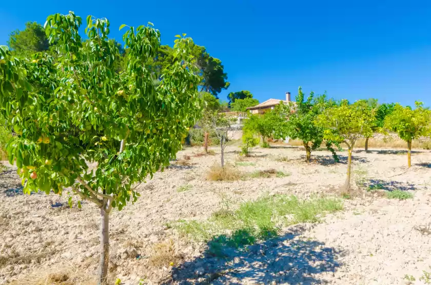 Alquiler vacacional en S'aresta den rumbet, Llucmajor