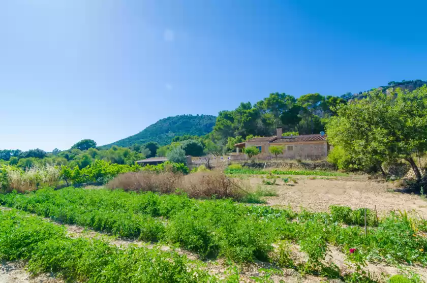 Alquiler vacacional en S'aresta den rumbet, Llucmajor