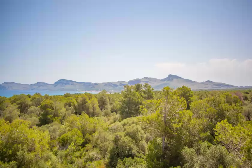 Alquiler vacacional en Villa son serra, Son Serra de Marina