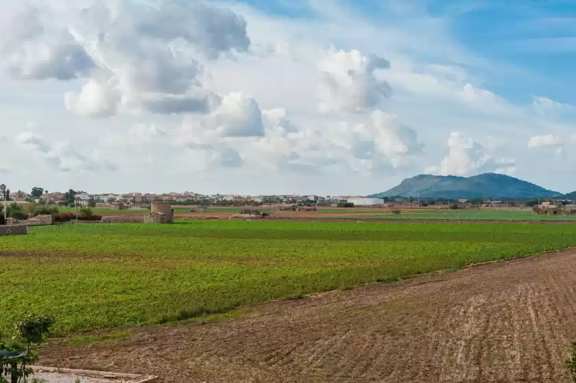 Alquiler vacacional en Son sabater (es moli nou), Sa Pobla