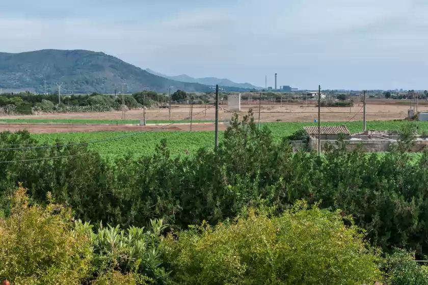 Alquiler vacacional en Son sabater (es moli nou), Sa Pobla