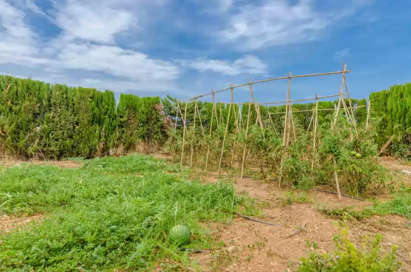 Ferienunterkünfte in Son sabater (es moli nou), Sa Pobla