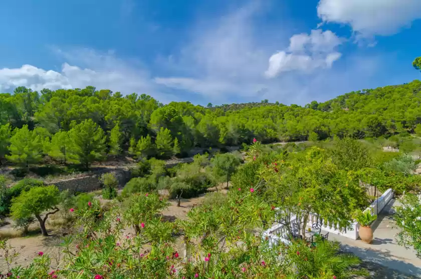 Location de vacances à Can bolei, Sant Elm