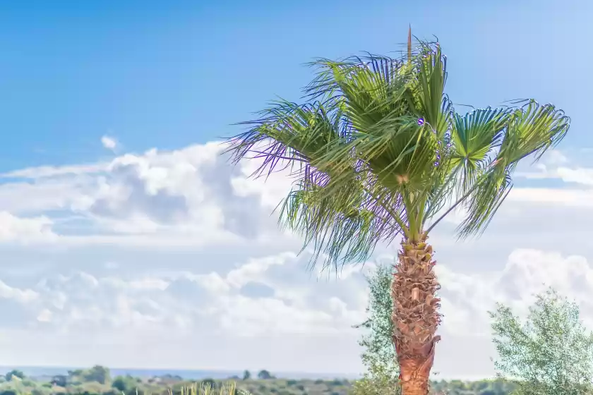 Location de vacances à Vista alegre, Manacor