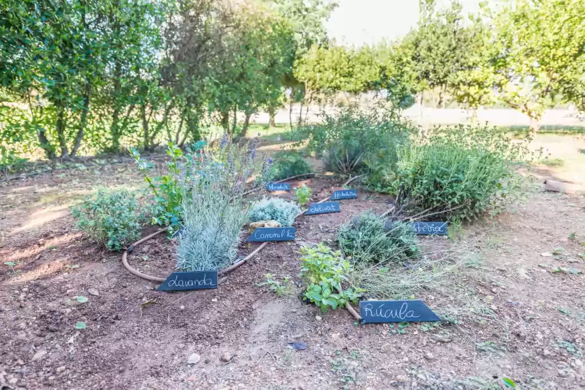 Location de vacances à Vista alegre, Manacor