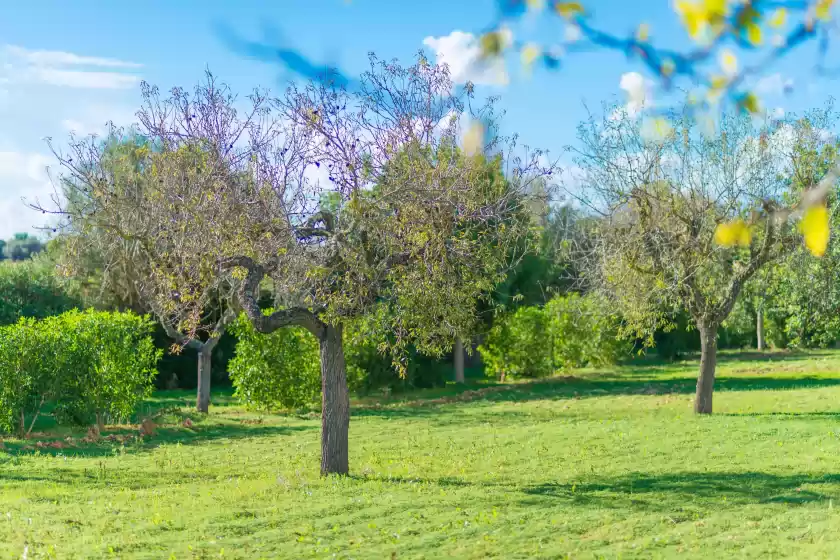 Location de vacances à Vista alegre, Manacor