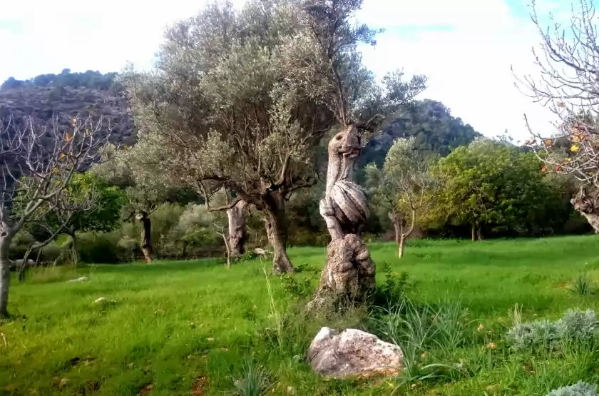 Alquiler vacacional en Ca na carme (alaronera), Alaró