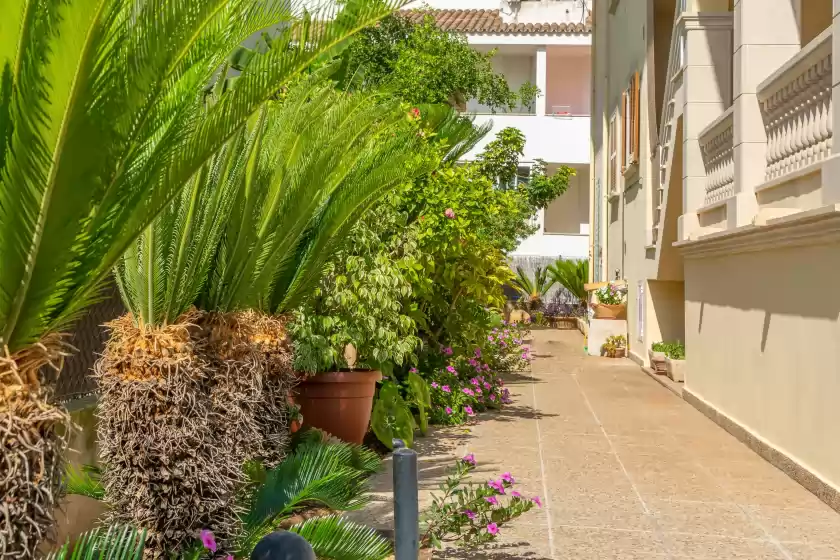 Alquiler vacacional en Llepol, Port d'Alcúdia