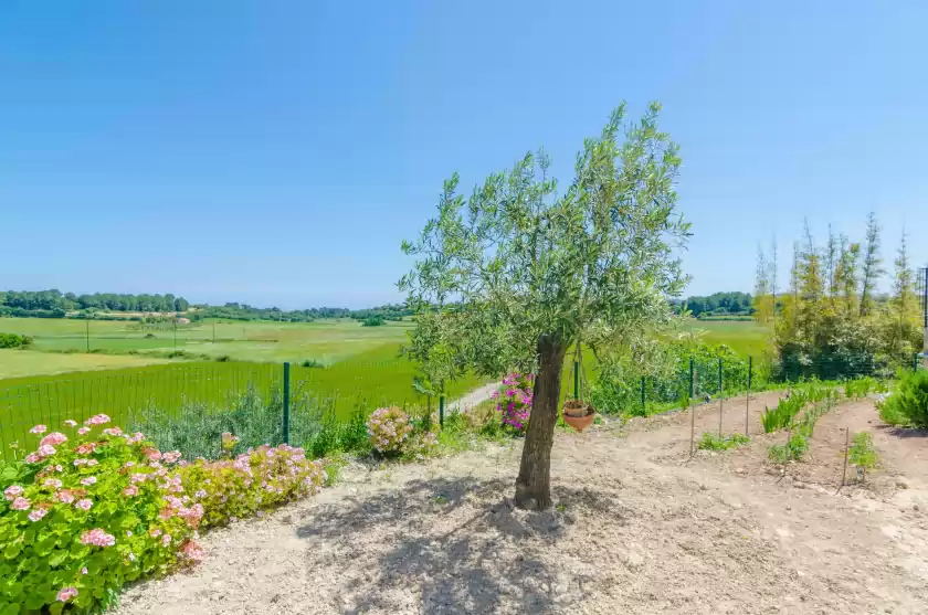 Location de vacances à Es pont den teulari nou, Manacor