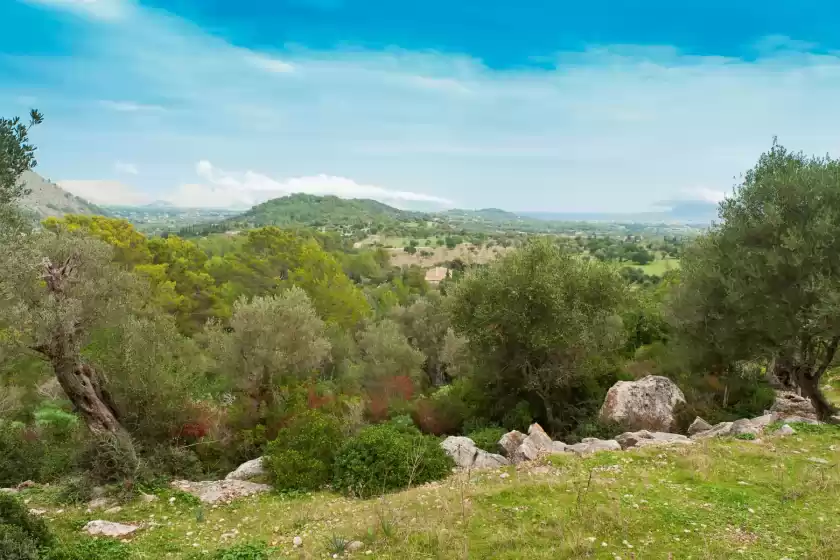 Ferienunterkünfte in Can guillo, Pollença