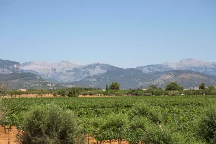 Ferienunterkünfte in Ca'n canastro, Binissalem