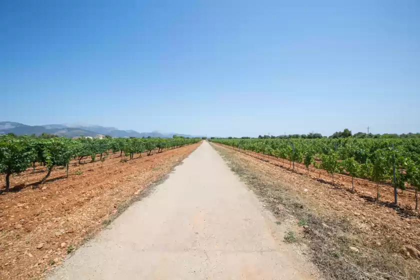 Alquiler vacacional en Ca'n canastro, Binissalem