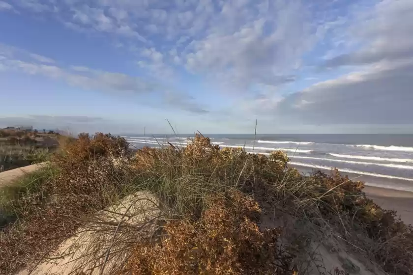 Alquiler vacacional en Brezo, Urbanització Platja d'Oliva