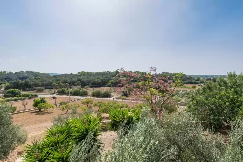 Ferienunterkünfte in Es cocons, Sineu