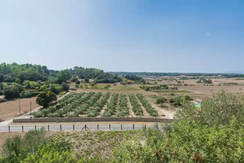 Ferienunterkünfte in Es cocons, Sineu