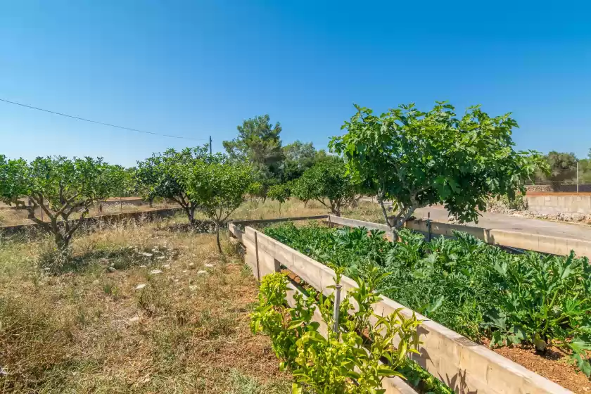 Alquiler vacacional en Sa raconada, Algaida