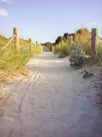 Alquiler vacacional en Ca minorica, Son Parc