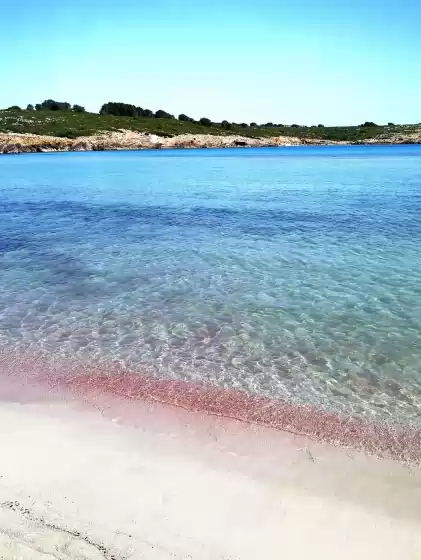 Alquiler vacacional en Ca minorica, Son Parc