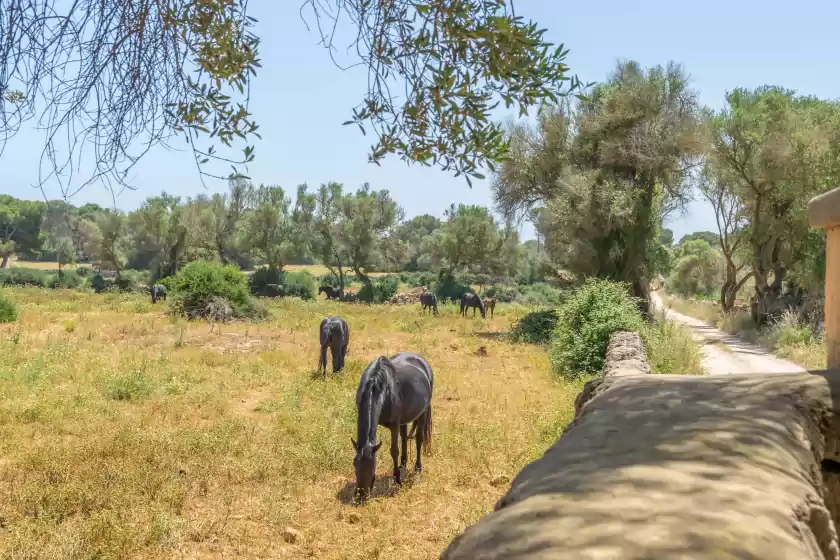 Alquiler vacacional en Talaia d'artrutx, Ciutadella