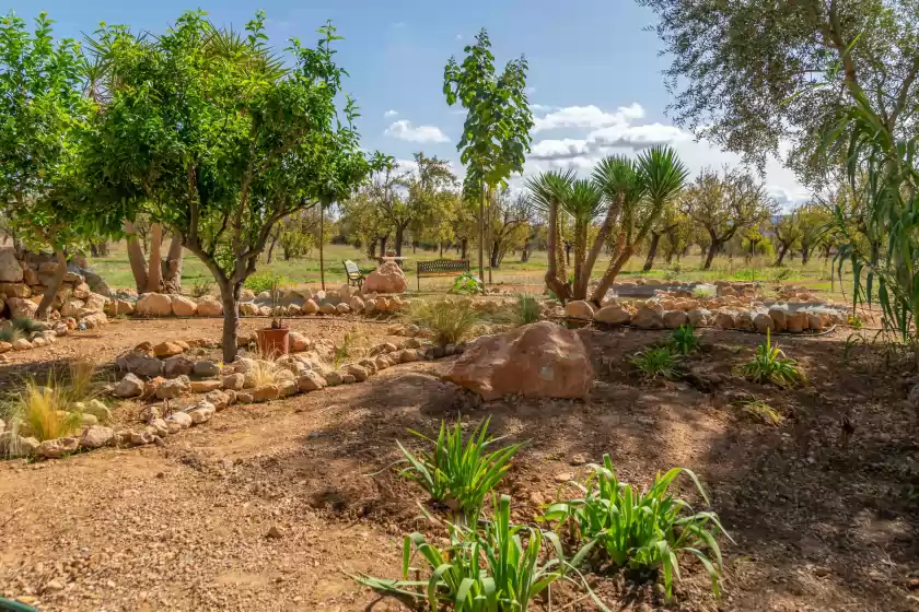 Alquiler vacacional en Sa caseta (ca n'andreu), Santa María del Camí