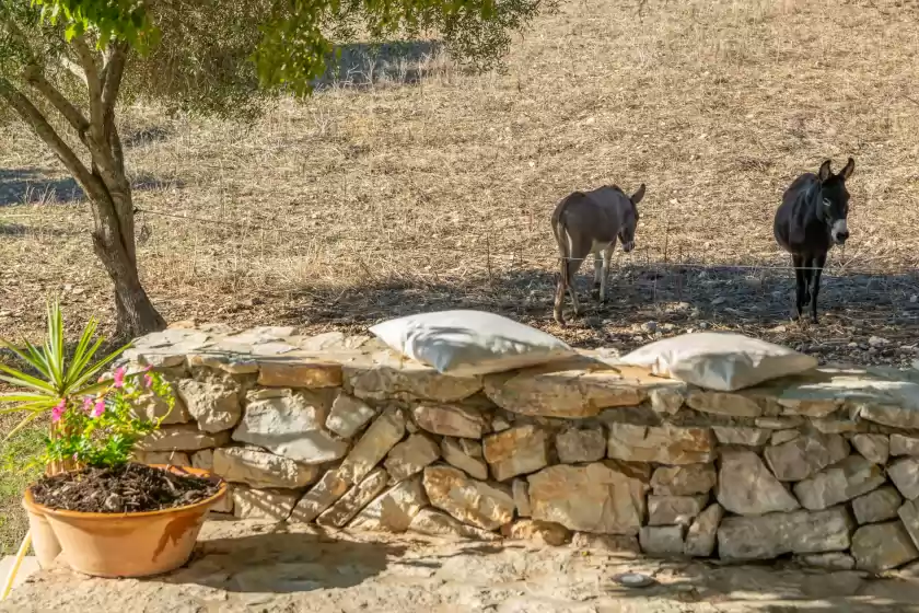 Holiday rentals in Son esquerrà, Felanitx