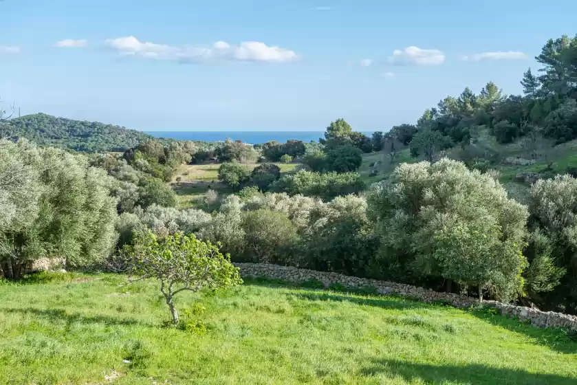 Ferienunterkünfte in Son esquerrà, Felanitx