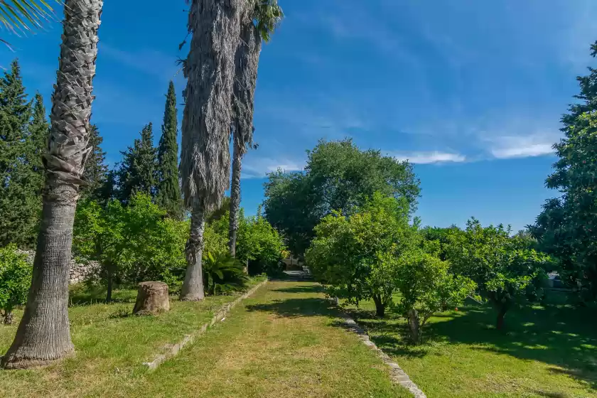 Alquiler vacacional en Sa teulera, Sencelles