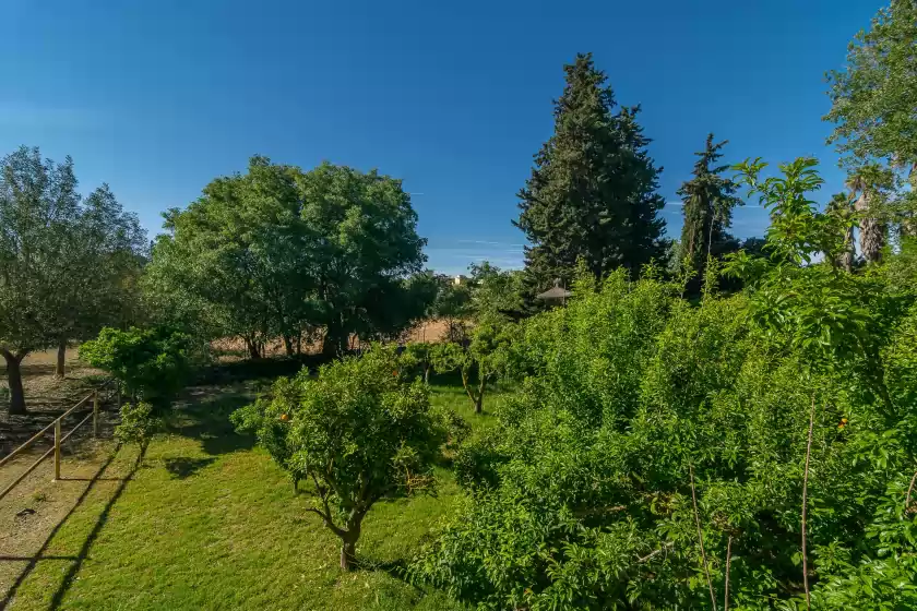 Alquiler vacacional en Sa teulera, Sencelles