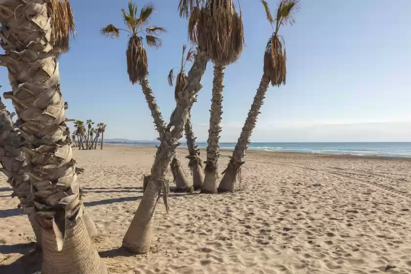 Alquiler vacacional en Gran canet, Platja de Canet