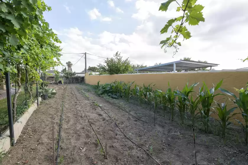 Holiday rentals in Rincon de la huerta, Chiclana de la Frontera