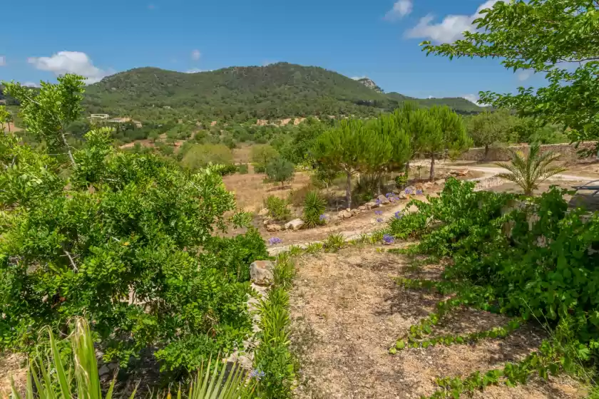 Ferienunterkünfte in S'albarcoquer, s'Horta