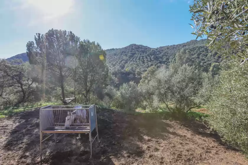 Alquiler vacacional en Casa rural los menestrales, Lora del Río