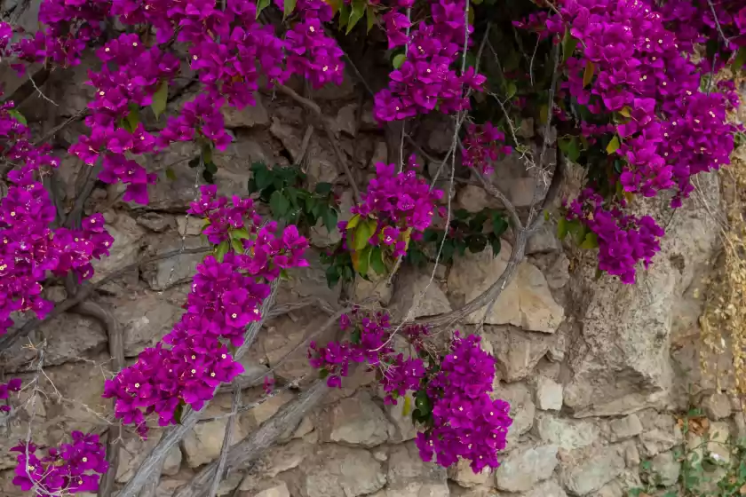 Holiday rentals in La torre del carmen, Málaga