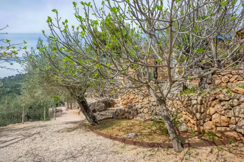 Ferienunterkünfte in Els abats, Fornalutx