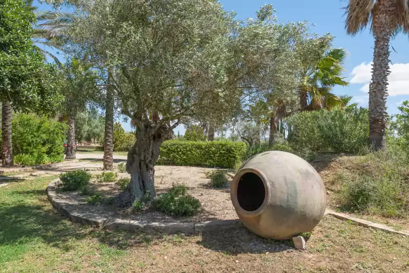 Ferienunterkünfte in Le petit paradis, Binissalem