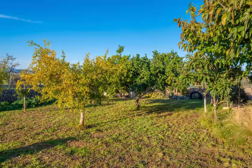 Alquiler vacacional en Son morro (ca na poveta), Santa Margalida