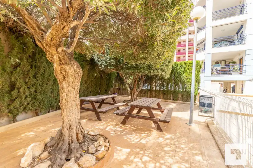 Alquiler vacacional en Apolo xix 34l - grupo turis, Calp