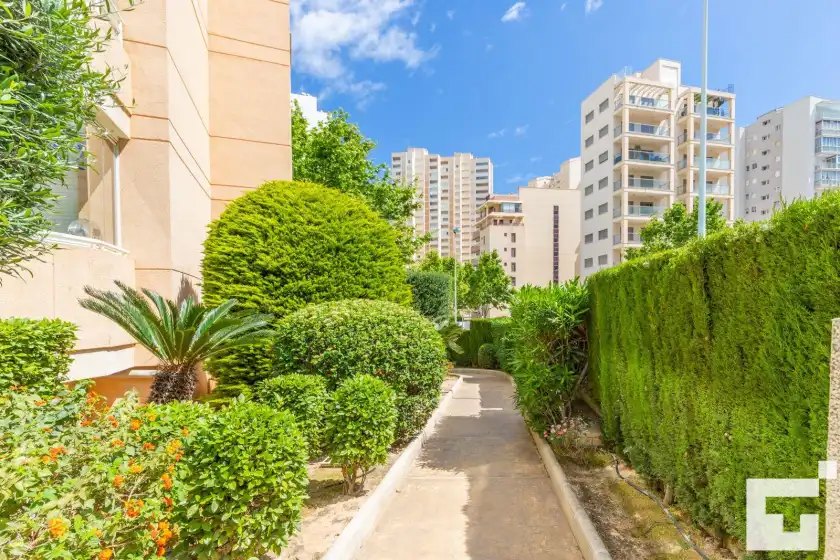 Alquiler vacacional en Apolo xix 34l - grupo turis, Calp