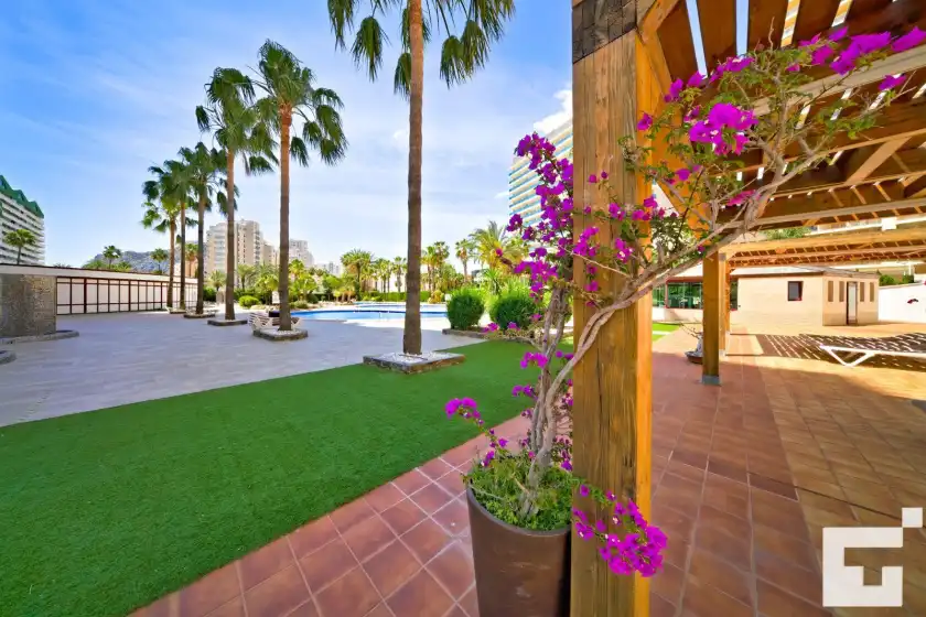 Alquiler vacacional en Coralbeach 28a - grupo turis, Calp