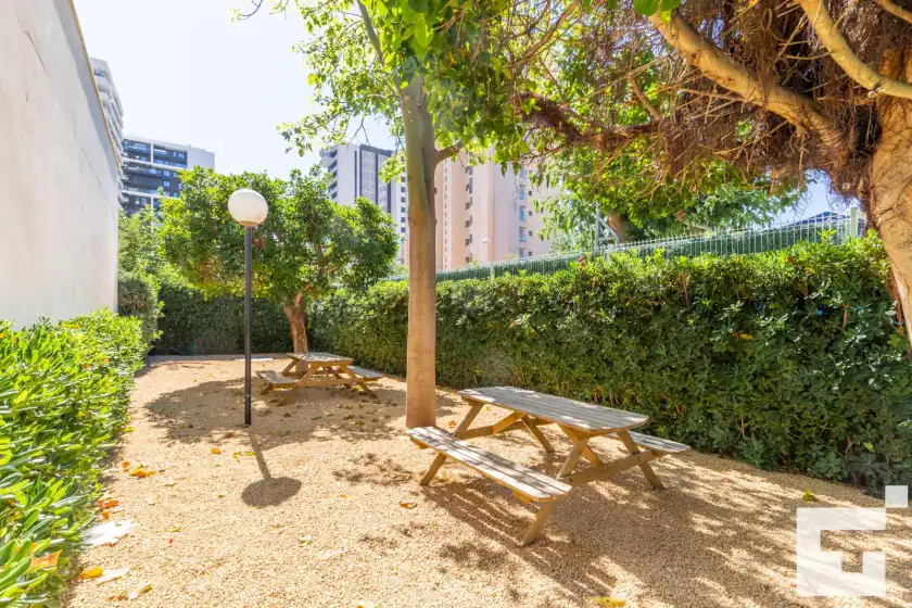 Alquiler vacacional en Estrella de calpe 8c - grupo turis, Calp