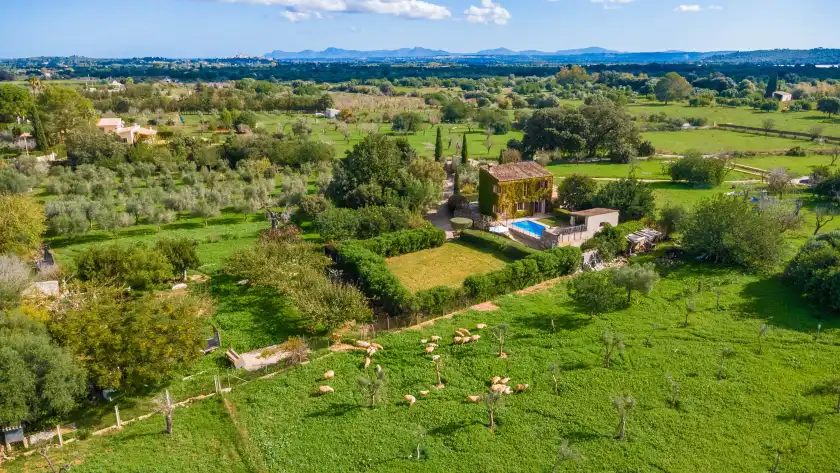 Alquiler vacacional en Sa sort llarga, Moscari